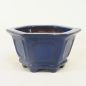Preview: Eckige Bonsaischale JapS17/11cm, blau