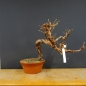 Preview: product image