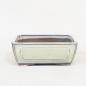 Preview: Eckige Bonsaischale WS11/12cm, champagne