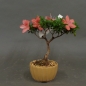 Preview: product image