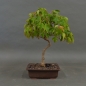 Preview: product image