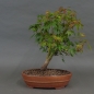 Preview: product image