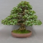 Preview: product image