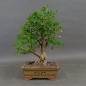Preview: product image