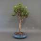 Preview: product image