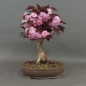 Preview: product image