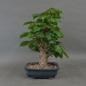 Preview: product image