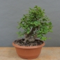 Preview: product image