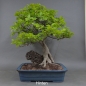 Preview: rechts