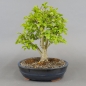Preview: product image