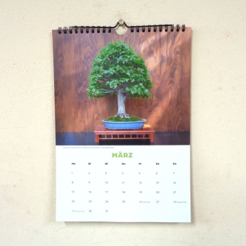 Preview: Bonsaikalender 2018