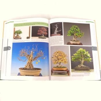Preview: Buch - Bonsai gestalten mit heimischen Gehölzen