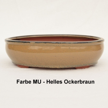 Preview: bonsaischale, ovale, ocker