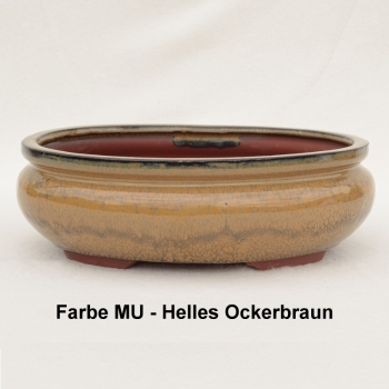 Preview: Ovale Bonsaischale ocker