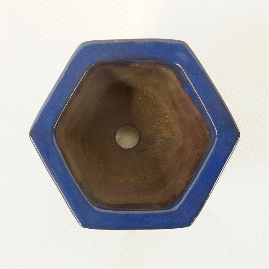 Eckige Bonsaischale JapS17/11cm, blau