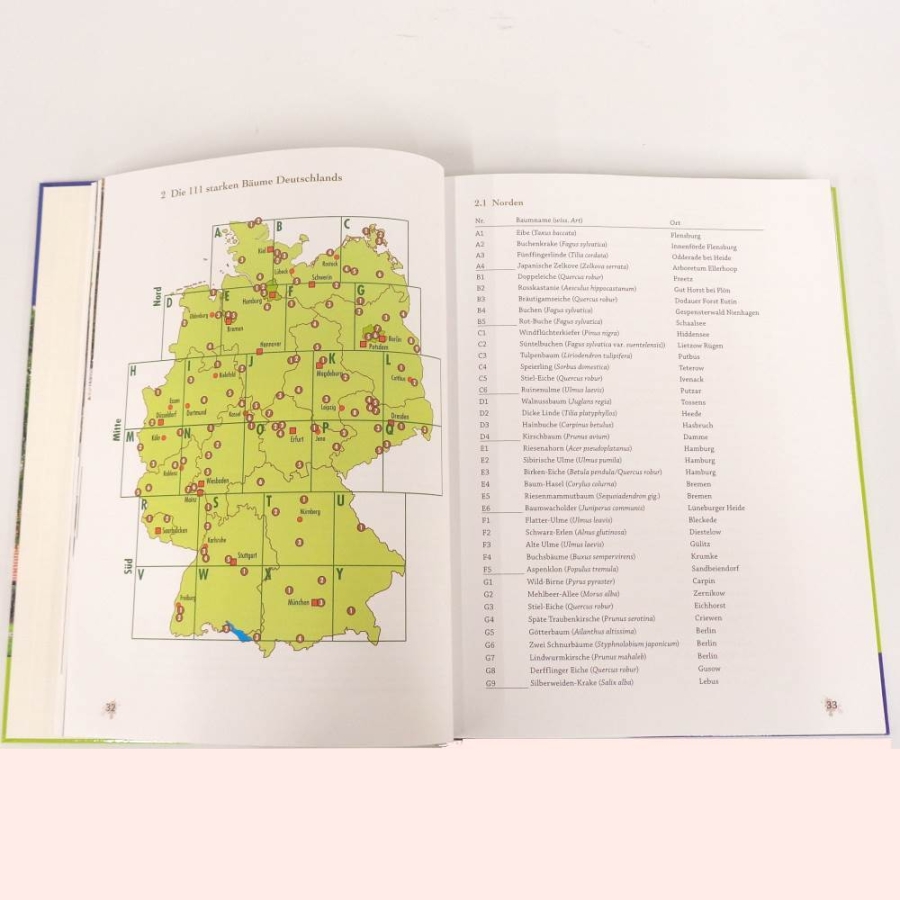 Buch - Starke Bäume
